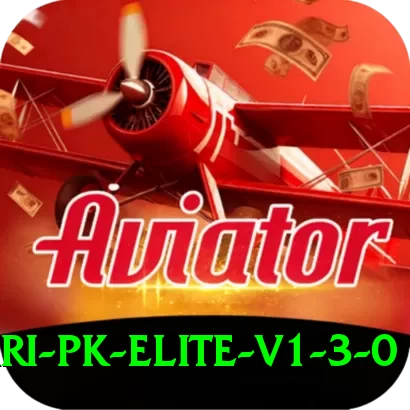 megapari.pk Elite v1.3.0 - 2